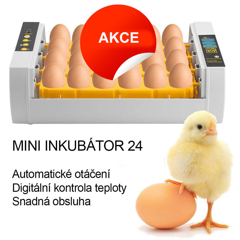 Líheň automatická digitální inkubátor na 24 ...
